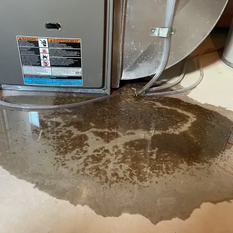 Appliance Leak Cleanup in Wildwood, MO